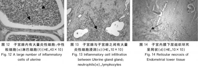 图12-13-14