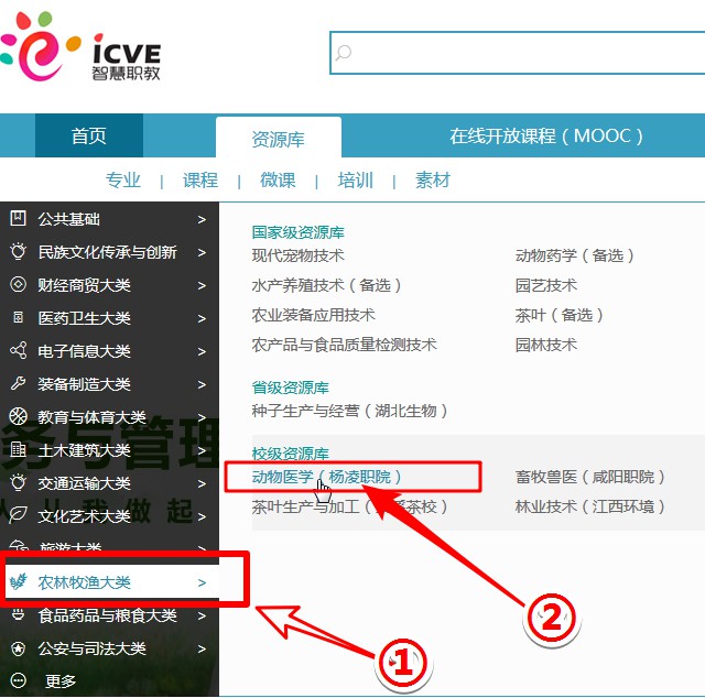 直接在资源库分类中找到动物医学（杨凌职院）