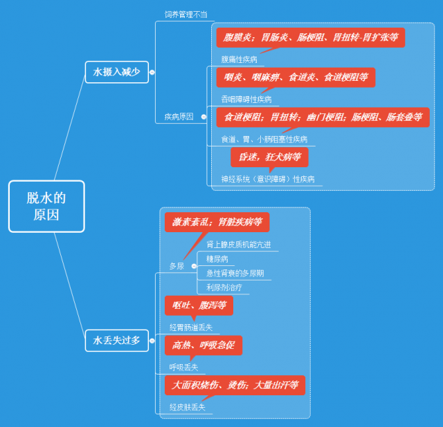 脱水的常见原因