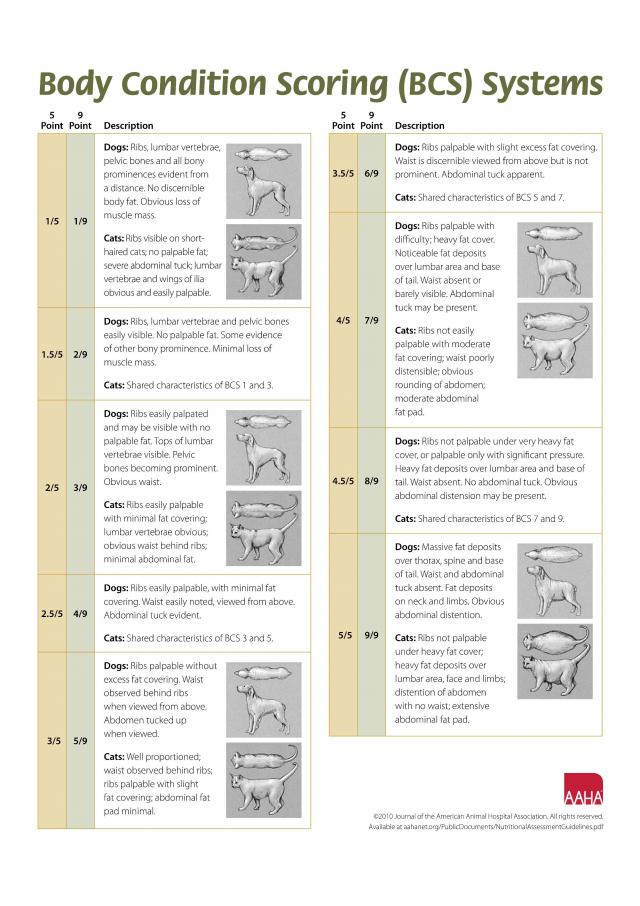 Body Condition Scoring（BCS）System（AAHA）