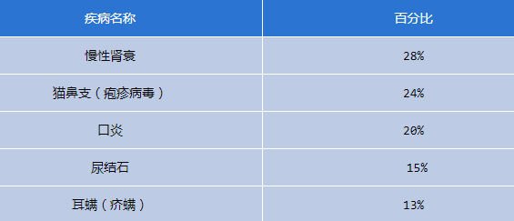 临床中猫较为多见的5种疾病