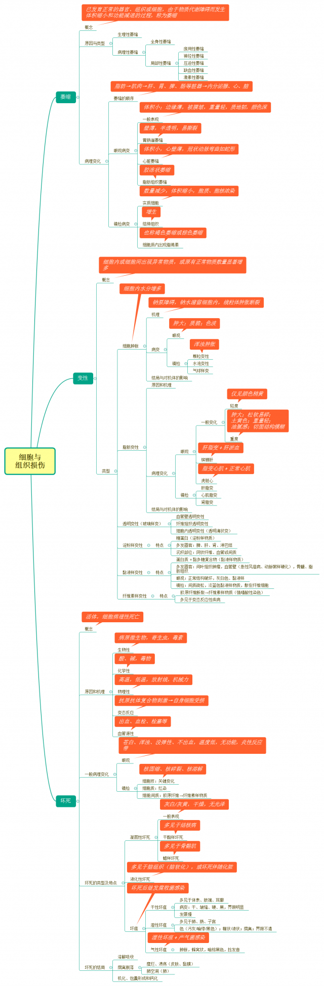 细胞与组织损伤思维导图