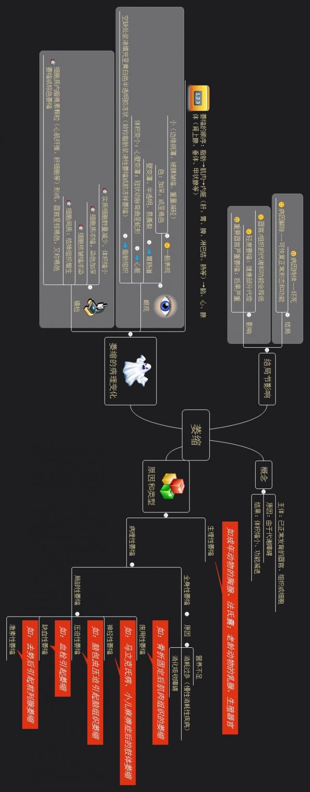 萎缩思维导图（手机横版）