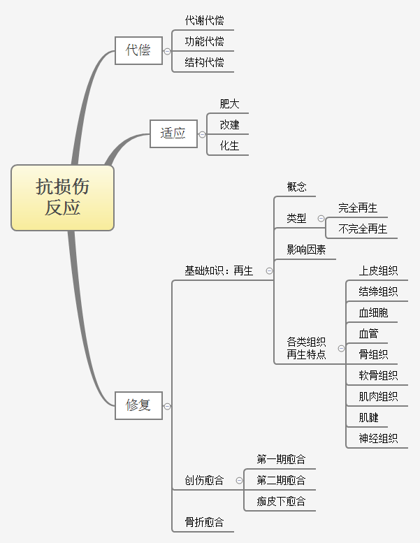 代偿、适应、修复思维导图