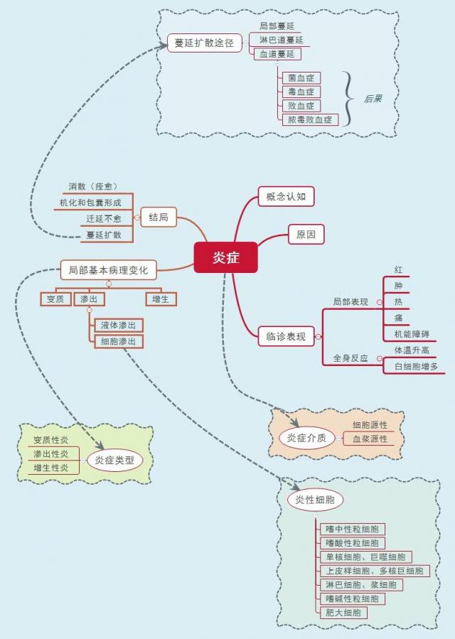 炎症学习思维导图