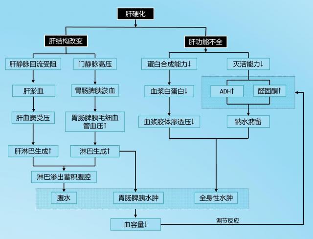 肝性水肿发生机制