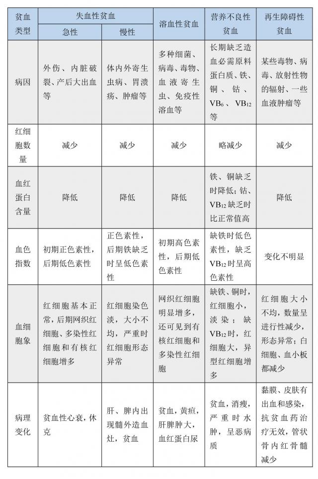 不同类型贫血的特点比较