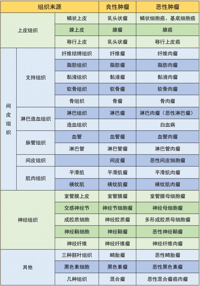 肿瘤的分类与命名