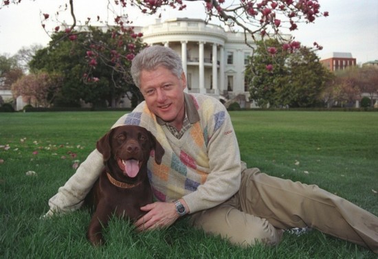 克林顿与狗