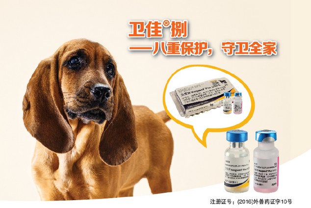 犬八联苗：卫佳®捌