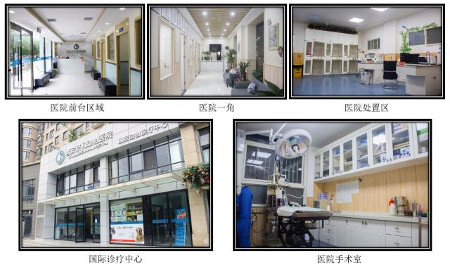 西安京和动物医院有限公司