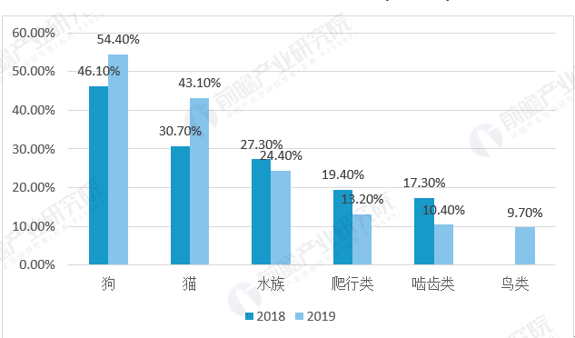 2018-2019年中国宠物类型分析图