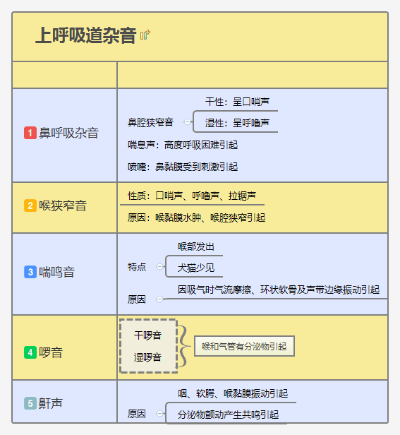 上呼吸道杂音检查知识导图