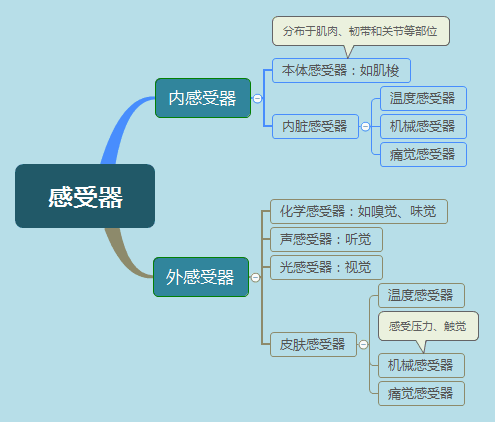 感受器的分类