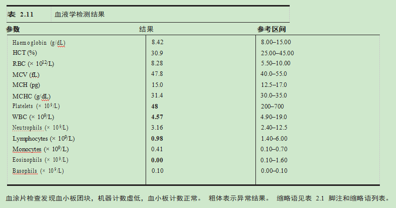 猫脂肪肝-血常规检验