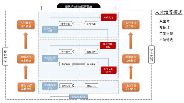 2022级宠医菁英班人才培养模式