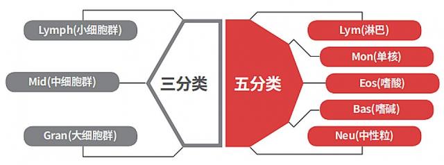 白细胞三分类与五分类的检验项目对比