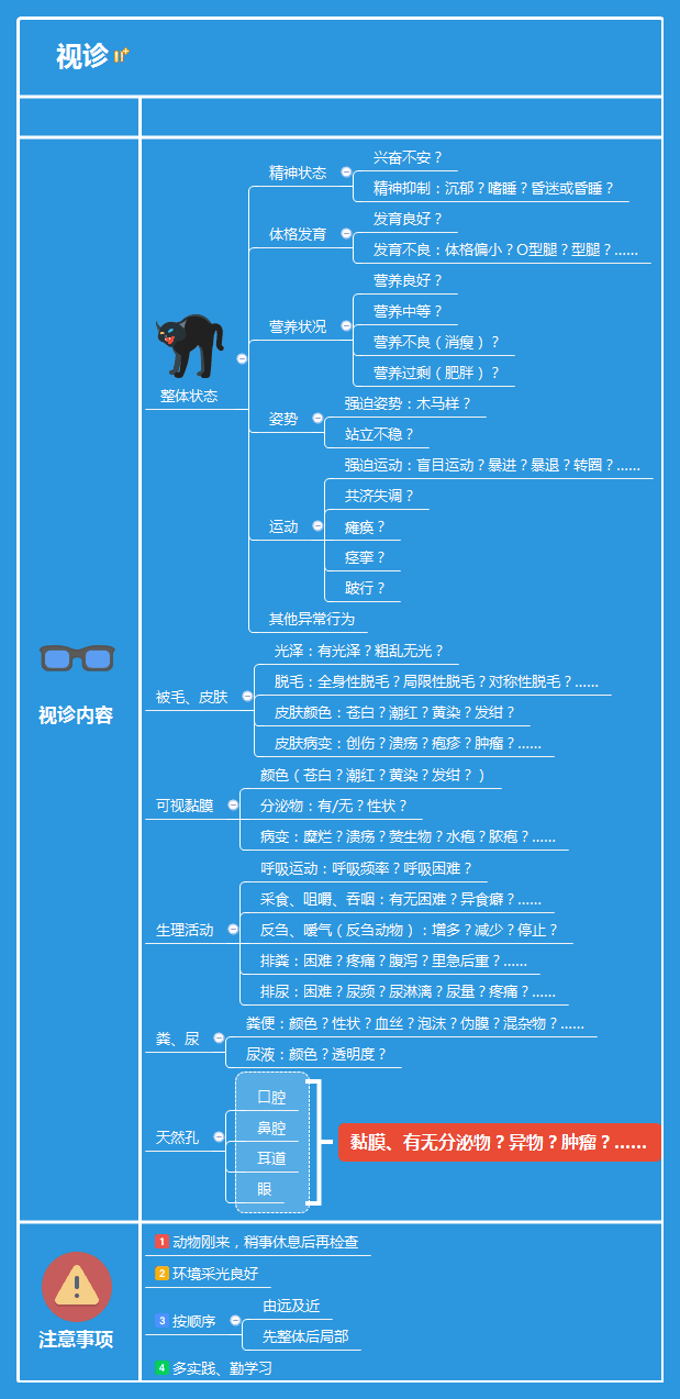 视诊思维导图