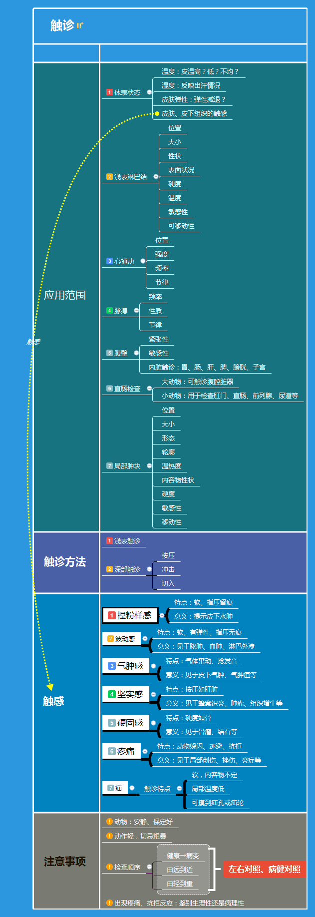 触诊学习思维导图