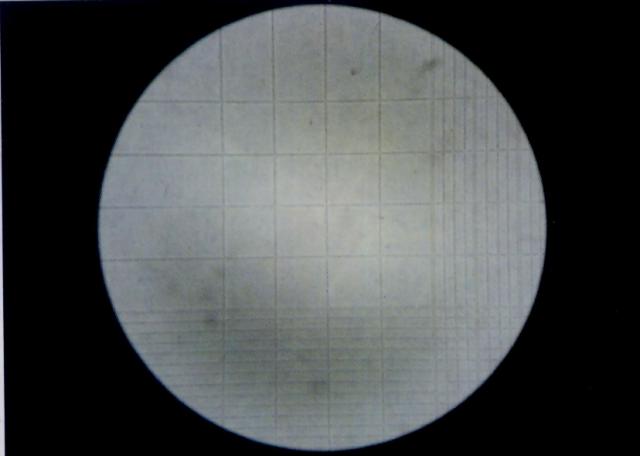 显微镜低倍镜下所见计数室左上角的白细胞计数大方格